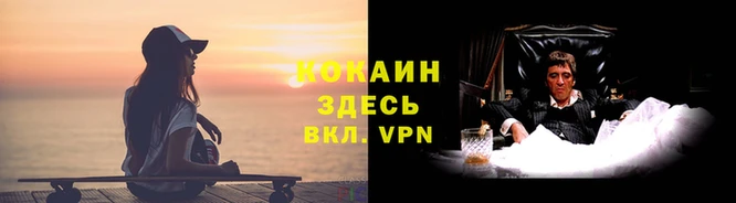 дмт Карпинск