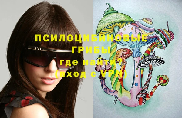 дмт Карпинск