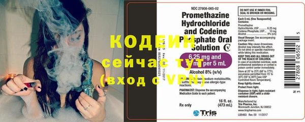 дмт Карпинск